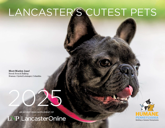 LNP Cutest Pets Calendar