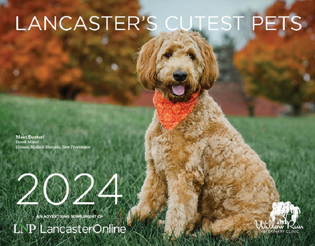 LNP's Cutest Pets Contest Calendar 2024