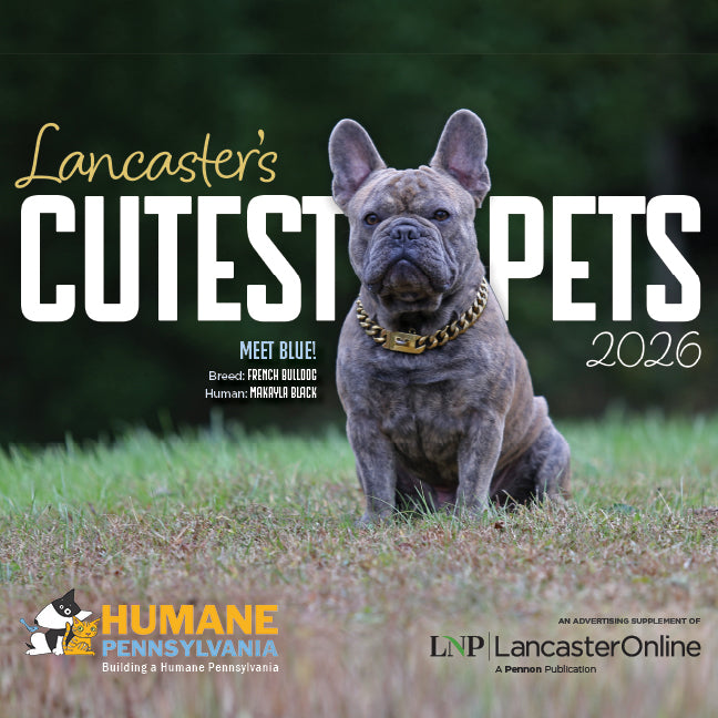 LNP Cutest Pets Calendar